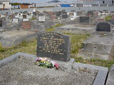 Full-size image