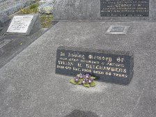 Full-size image