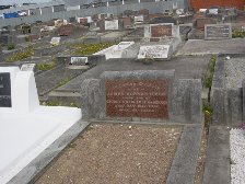 Full-size image