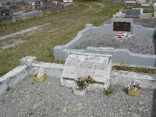 Full-size image