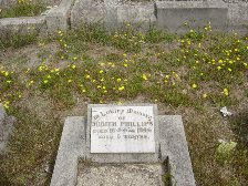 Full-size image
