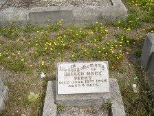 Full-size image