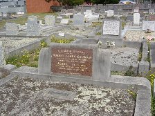 Full-size image