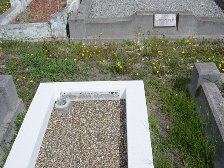 Full-size image