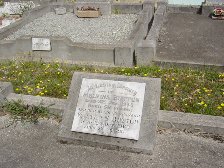 Full-size image