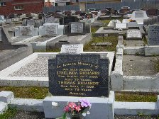 Full-size image