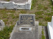 Full-size image