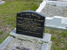 Full-size image