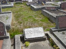 Full-size image