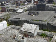 Full-size image