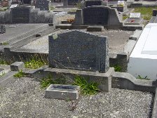Full-size image