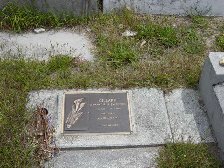 Full-size image