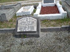 Full-size image