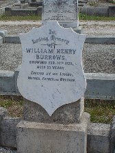 Full-size image