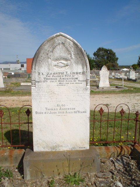 Full-size image