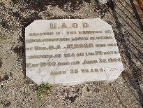Full-size image