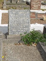 Full-size image