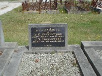 Full-size image