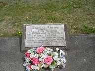 Full-size image
