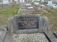 Full-size image