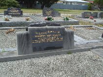 Full-size image