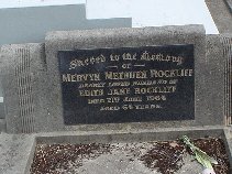 Full-size image