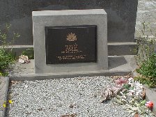 Full-size image