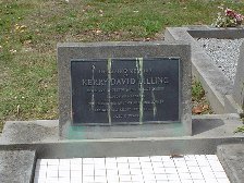 Full-size image