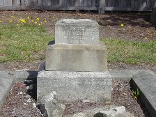 Full-size image