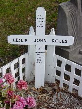 Full-size image