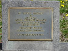 Full-size image