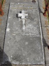 Full-size image