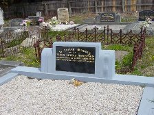 Full-size image
