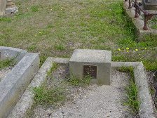 Full-size image