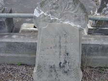Full-size image