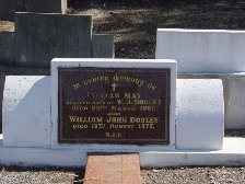 Full-size image