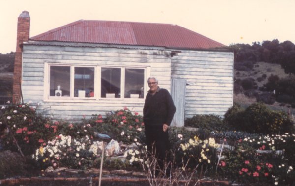 Full-size image