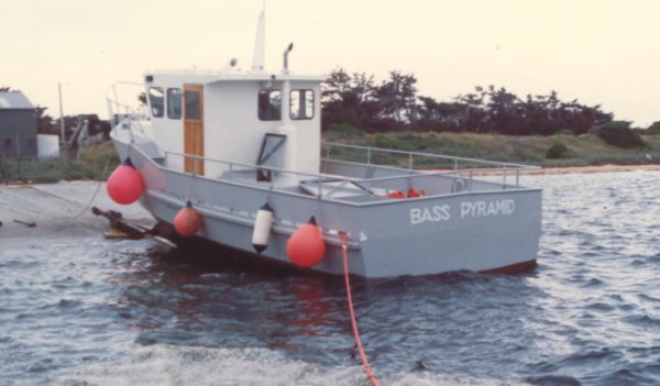 Full-size image