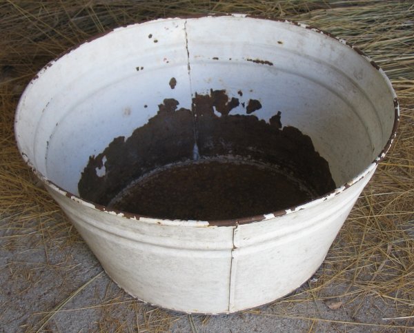Full-size image