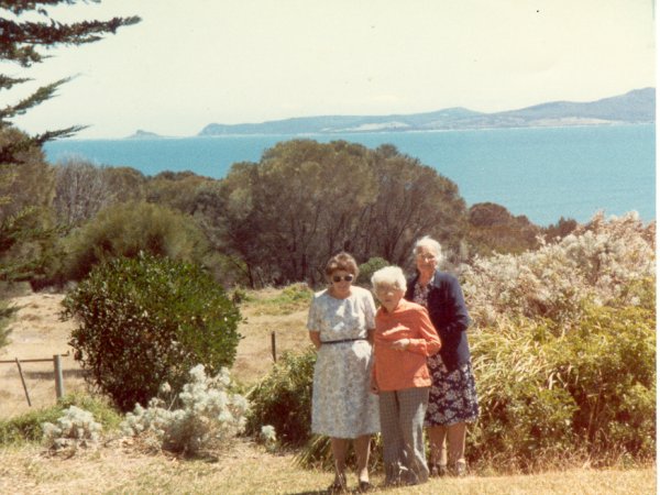 Full-size image