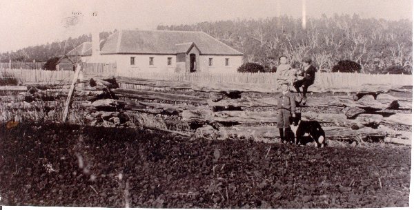 Full-size image