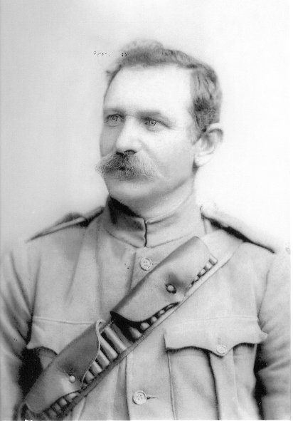 Full-size image