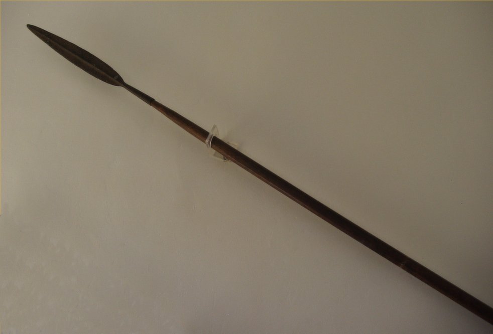 Full-size image