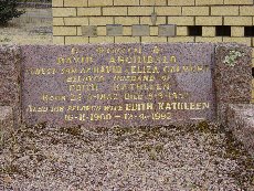 Full-size image