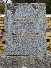 Full-size image