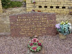 Full-size image