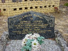 Full-size image