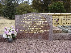 Full-size image