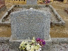 Full-size image