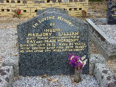 Full-size image